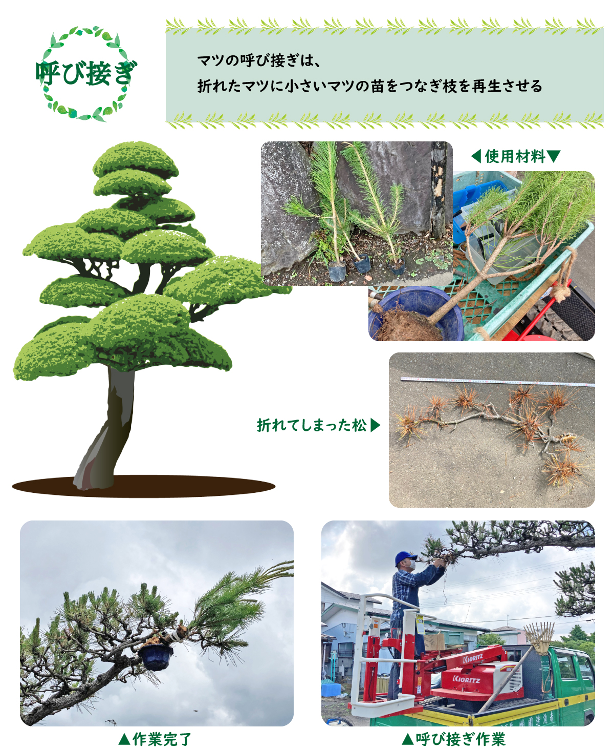 呼び接ぎ
